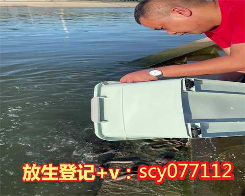 北京哪里可以买鸟放生的地方,北京大学的素食部落