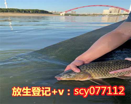 放生回向给孩子考试青岛,青岛哪里可以放生刺猬【青岛哪里允许放生】