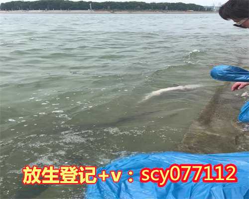 生日放生有什么讲究吗南昌，南昌放生鲫鱼在哪里【放生的鱼用大的好还是小的