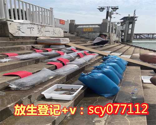 农历八月初一吃素放生,黄历吉日查询2023农历12月初六日子怎么样