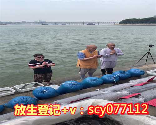 为母亲放生如何回向，放生为何如此重要