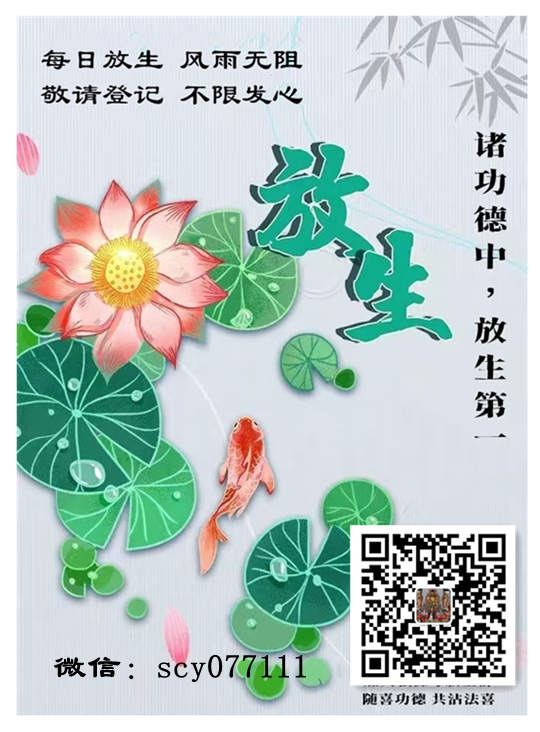 线上放生银川巴西龟放生地点【放生甲鱼对婚姻有好处吗】